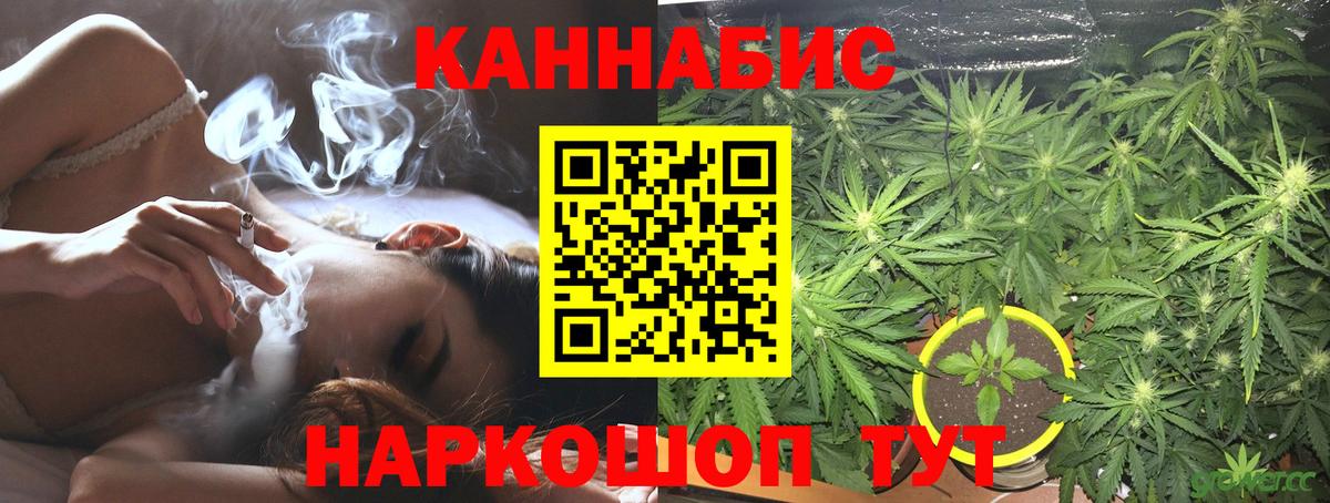 Каннабис OG Kush Анжеро-Судженск