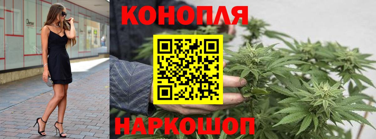 Бошки марихуана план  Канабис конопля  Марихуана сатива  Анжеро-Судженск  Вход с VPN 